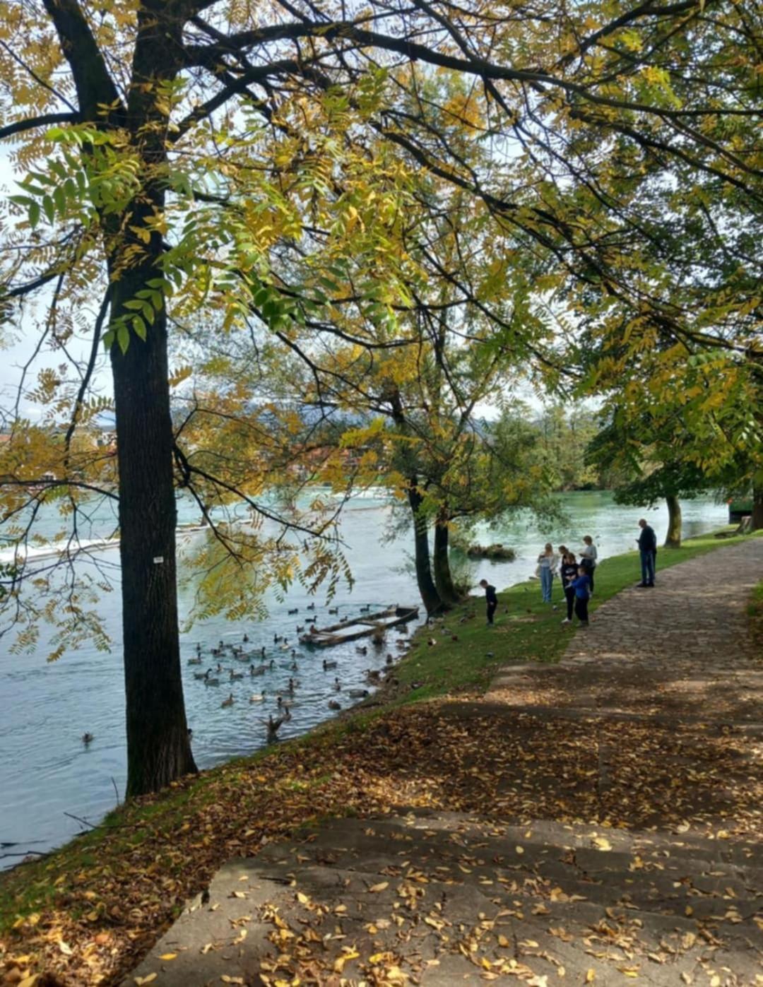 Dea Bihac